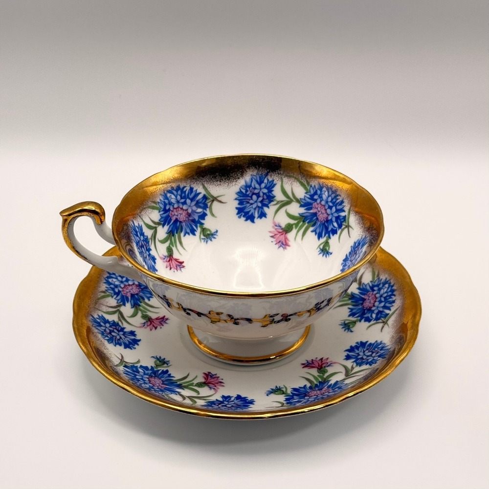 Vintage Salisbury Harvest Time Teacup Saucer Set Blue Cornflower‎ Bone China